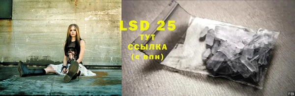PSILOCYBIN Баксан