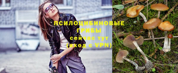 PSILOCYBIN Баксан
