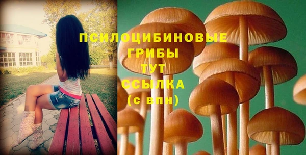 PSILOCYBIN Баксан