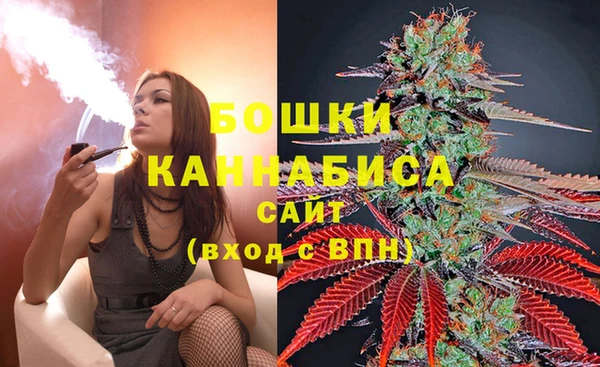 PSILOCYBIN Баксан
