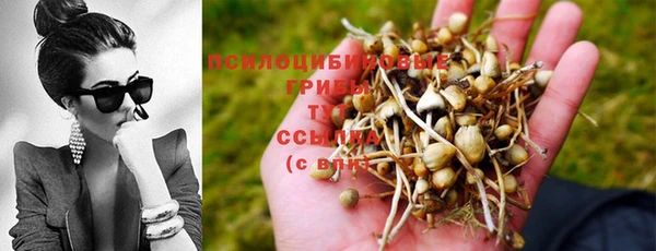 трава Балахна