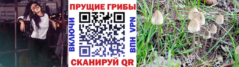 как найти закладки  Нягань  Галлюциногенные грибы Cubensis 